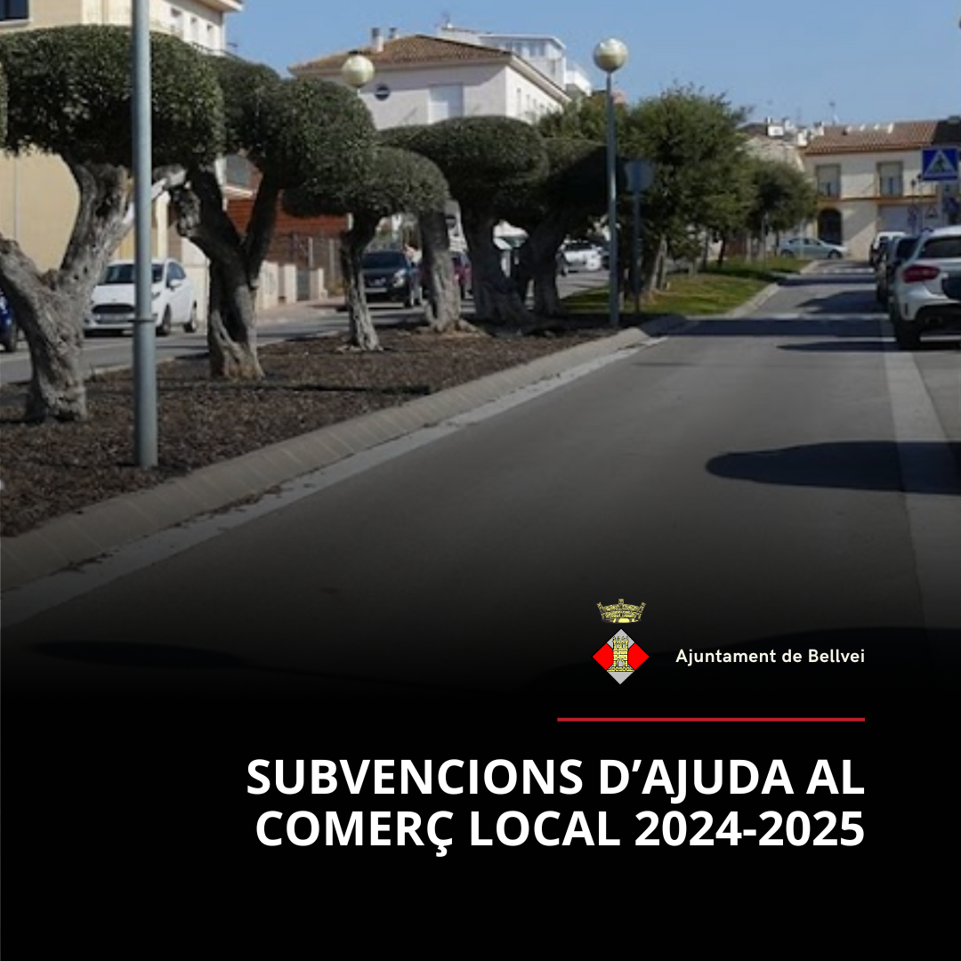 SubvencioComerçLocal.png