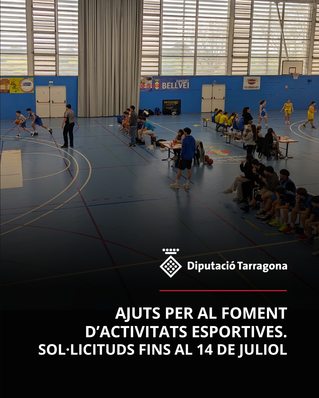 ajuts